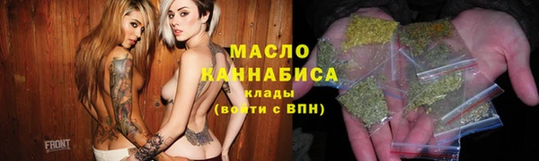 дмт Ельня