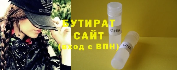 дмт Ельня