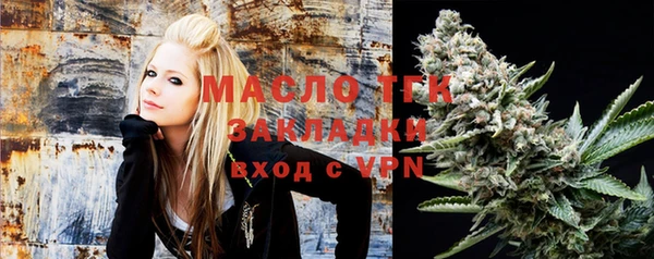 дмт Ельня