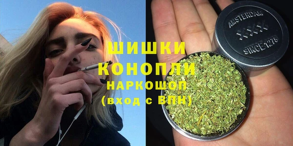 дмт Ельня