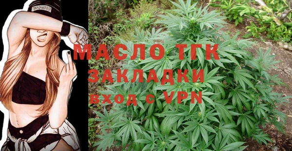 дмт Ельня