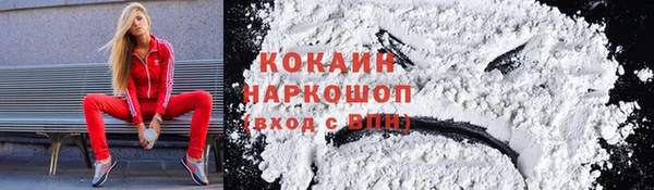 дмт Ельня