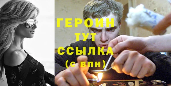 дмт Ельня