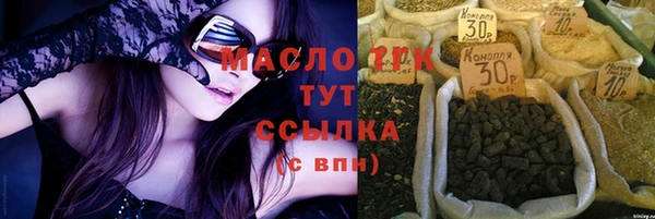 дмт Ельня