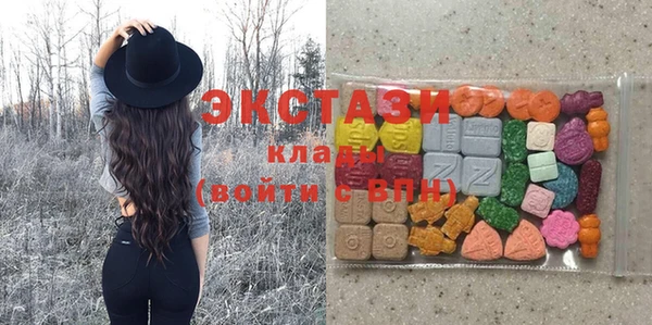 дмт Ельня